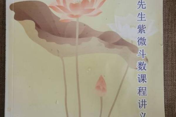 揭示命运之钥：如何解读自己的第一宫命盘