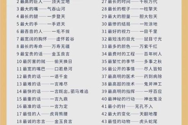 根据什么命什么呼,探索成语背后的智慧与魅力 根据什么命什么呼,探索成语背后的智慧与魅力