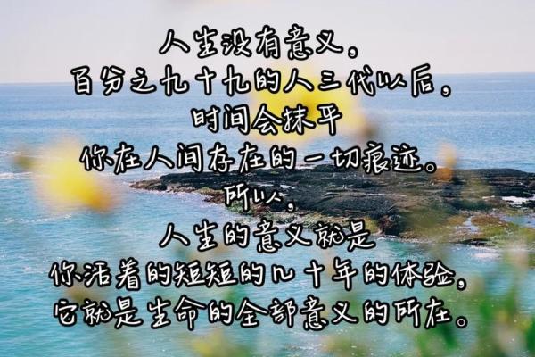 十七年六月的命运解读:探索人生的意义与方向 十七年六月的命运解读:探索人生的意义与方向