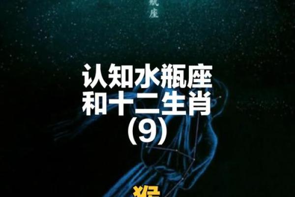 属猴水命的人适合什么名字：探索命理与命名的奥秘