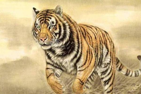 属虎阴历9月出生命运解析:揭开生肖的神秘面纱与命运之旅 属虎阴历9月出生命运解析:揭开生肖的神秘面纱与命运之旅