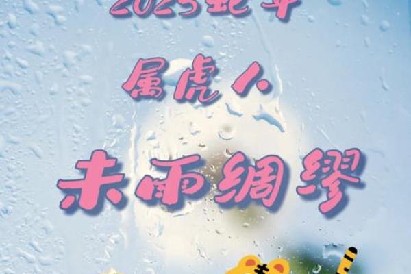 女属虎十二月出生的命运与性格解析：勇敢与智慧的结合