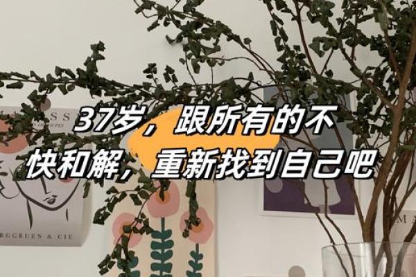 命运的波折：我人生中的坎坷与坚持之路