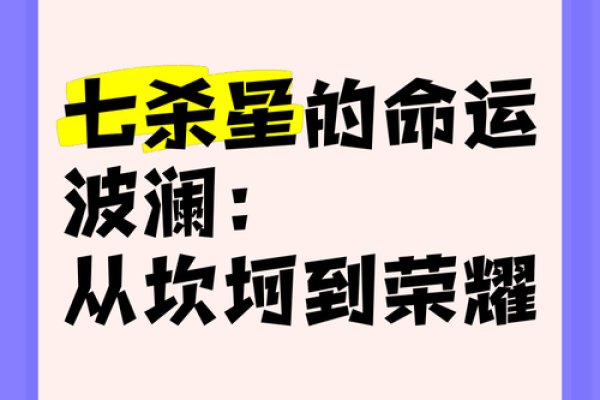 命运的波折：我人生中的坎坷与坚持之路