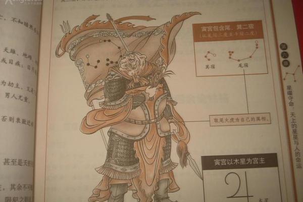 七月七日出生的人星象揭秘:命星与性格的奥秘 七月七日出生的人星象揭秘:命星与性格的奥秘