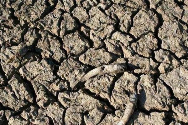 缺水命：怎样的人容易陷入缺水困境？