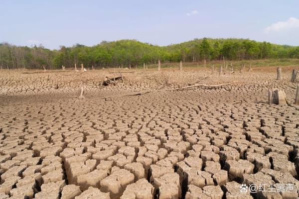缺水命：怎样的人容易陷入缺水困境？