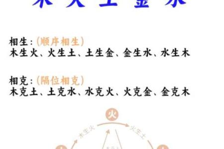 石榴木命与八字命理：相生相克的精彩探秘