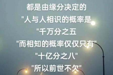 命运交织的绝美爱情：从相识到相知的心路历程