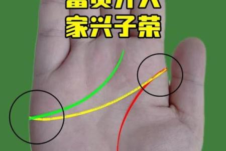 揭示手相之谜：如何识别小三命的手相特征与人生运势