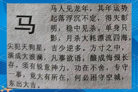 属狗的马烈如日中，命运旅途中如何乘风破浪？