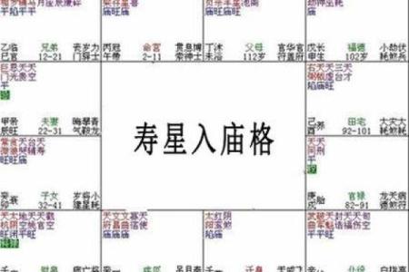 揭开命格的奥秘：哪些命格适合学习紫微斗数？