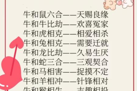 属土命与生肖的完美结合：最佳婚配解析