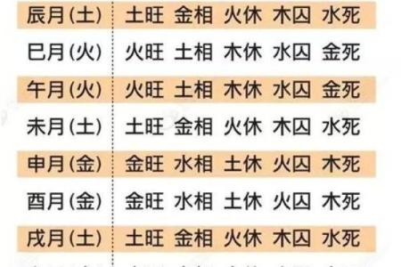 深入探索八字命理：日柱与时柱的究竟重要性！