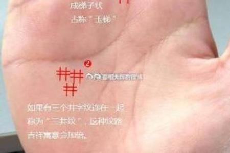 揭秘手相：看什么样的手相能决定你的房命与安居之道