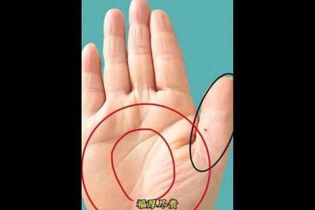 揭示幸福秘诀：掌握手相中的享福命特征！