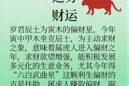 女属虎十二月出生的命运与性格解析：勇敢与智慧的结合