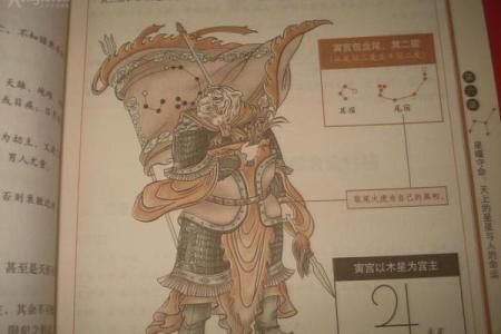 七月七日出生的人星象揭秘：命星与性格的奥秘