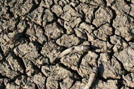 缺水命：怎样的人容易陷入缺水困境？