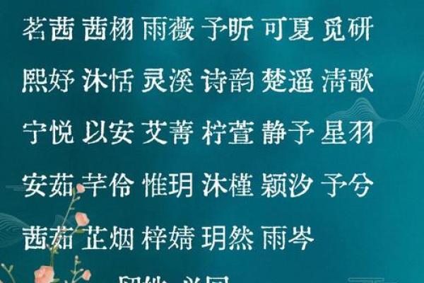 沙中金命孩子的命名艺术：宝藏的名字潜藏着的智慧与祝福