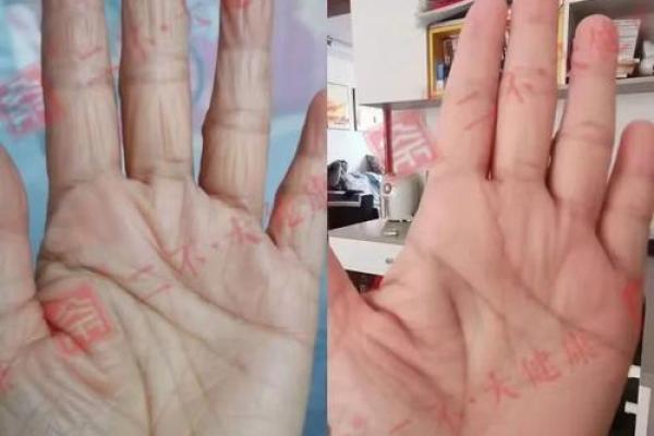 手长奇形怪状，人命各异的奇妙人生