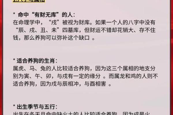 如何通过人生三个狗小孩解读命运的奥秘 如何通过人生三个狗小孩解读命运的奥秘