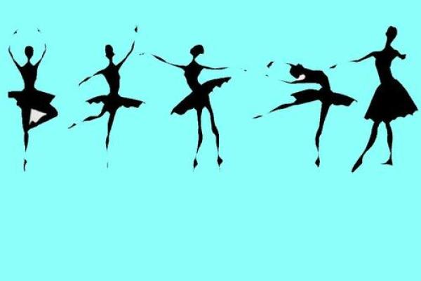 命运的交响曲：缘分与选择的精彩交织