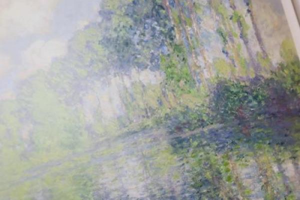 命运与色彩：探寻“颜”和“命”的奥秘