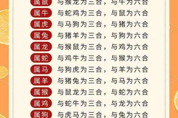 生肖三三两两,命运的奇妙密码揭示! 生肖三三两两,命运的奇妙密码揭示!