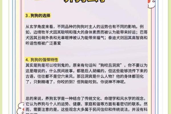 属狗的正月命理分析:探讨缺失之物与追求之道 属狗的正月命理分析:探讨缺失之物与追求之道