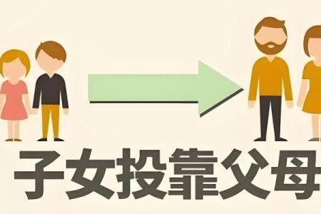 如何判断命理中的木命与克的关系，探寻生命中的平衡之道