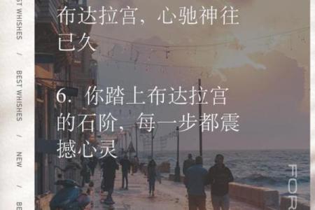 伤宿伤尽，命运交织的心灵之旅