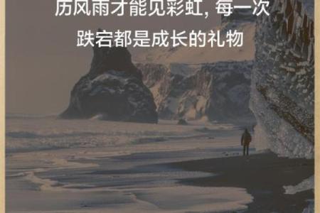 属狗29岁，命运如何助你成就人生高峰？