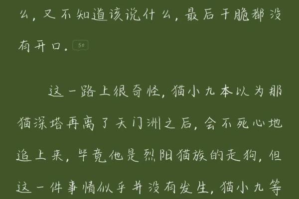 猫有九条命的背后故事与人类的奇妙想象