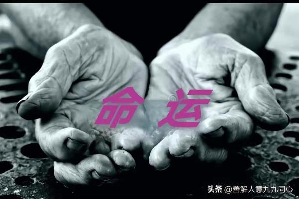 命运的启示：命中注定与逆风而行的智慧