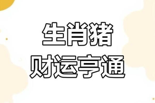 木命属猪适合的颜色揭秘，提升运势的秘密武器！