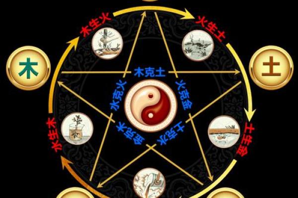 如何选择士命与其他命格的最佳搭配，探索命理的奥秘与智慧