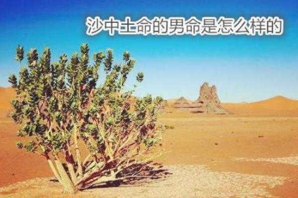 沙中土命与其他命理的完美契合探究 沙中土命与其他命理的完美契合探究