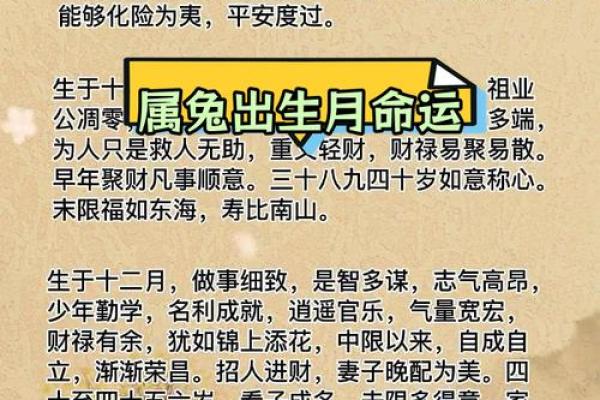 属兔人34岁后的命运解析：福祉与挑战并存的旅程