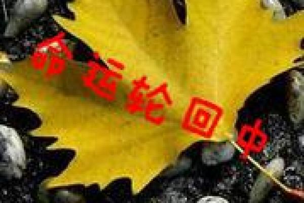 命运的轮回：探寻“什么成什么归宿”的人生哲理