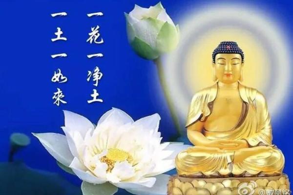 十月初九出生的命运探秘：揭示人生智慧与性格特征