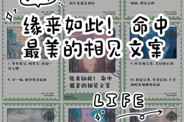 揭秘身均衡金命:你命中的星辰与人生之路 揭秘身均衡金命:你命中的星辰与人生之路