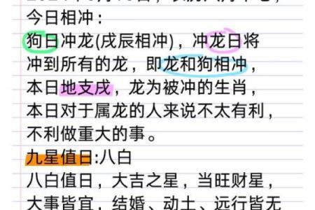 属大龙71岁命运解析：如何掌握人生的智慧与机遇