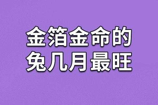 壬寅年出生的人:揭秘金箔金命的神秘哲学与性格特征 壬寅年出生的人:揭秘金箔金命的神秘哲学与性格特征