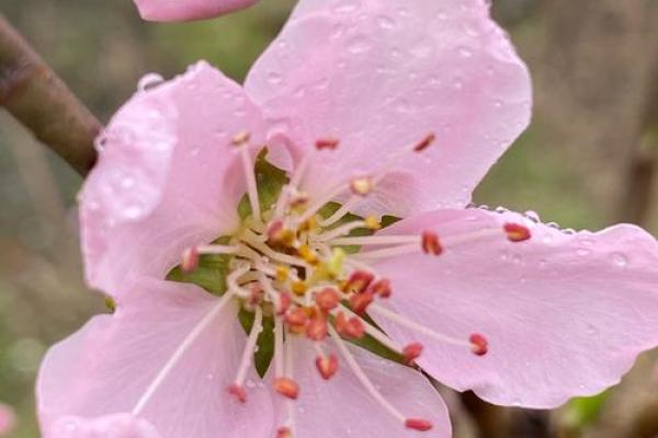 脾气越好，命运越美：心态决定人生的真谛