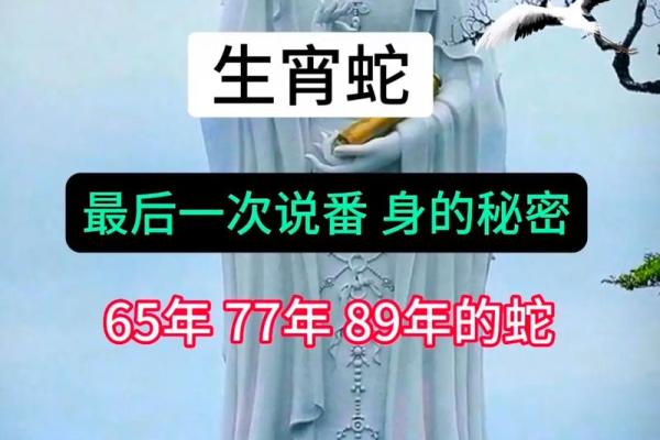 解密1977属蛇之命:命运与性格全解析! 解密1977属蛇之命:命运与性格全解析!