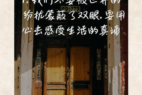 乞儿问命：揭示命运的迷雾与人生的真谛