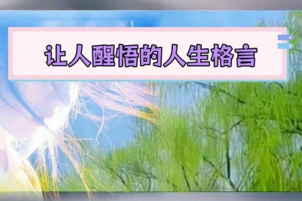 壬午年壬寅月:命理背后的深邃智慧与人生启示 壬午年壬寅月:命理背后的深邃智慧与人生启示