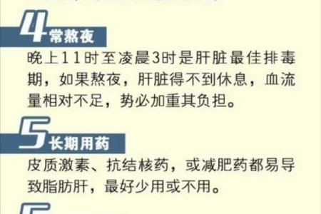 揭秘脂肪肝的命理原因：从健康角度探讨生活习惯与体质的关系