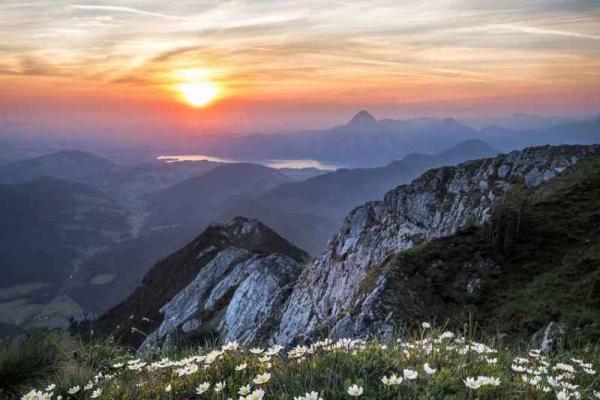 如何查询你的命格,揭示属于你的未来之路! 如何查询你的命格,揭示属于你的未来之路!